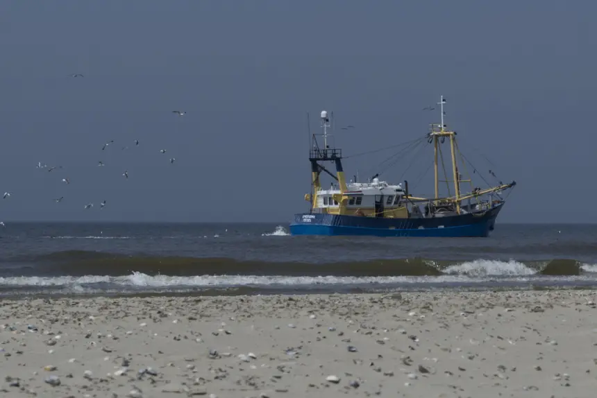 Россия открыла двери своим рыбакам в атлантические воды Марокко