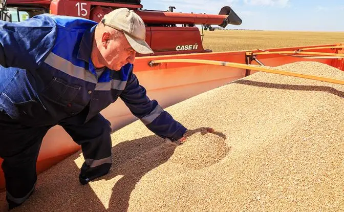 Урожай для экспорта или для народа? Амбары ломятся, а кошелки пустеют