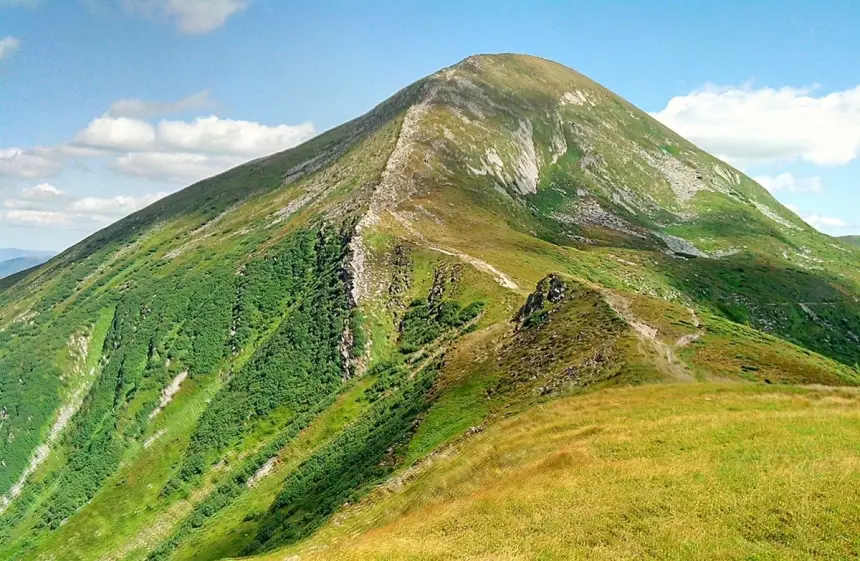 Украина стала «лысой» и задыхается, но зато «рекордные прибыли»