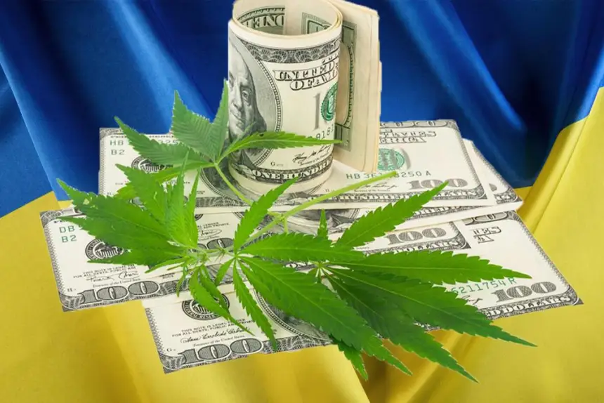 В Киеве объявили: на Украине не хватает марихуаны. В чём причина?