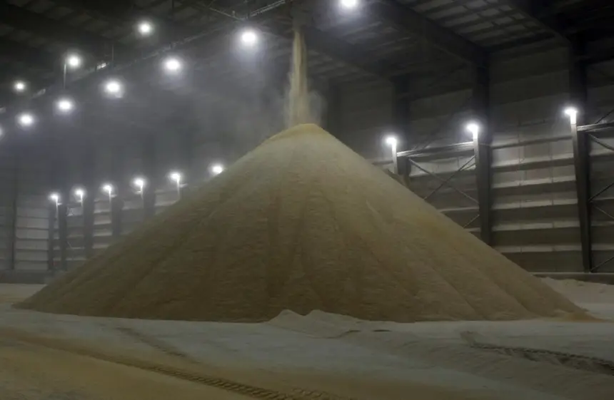 Китай подчинился и за месяц скупил в США 12 миллионов тонн сои