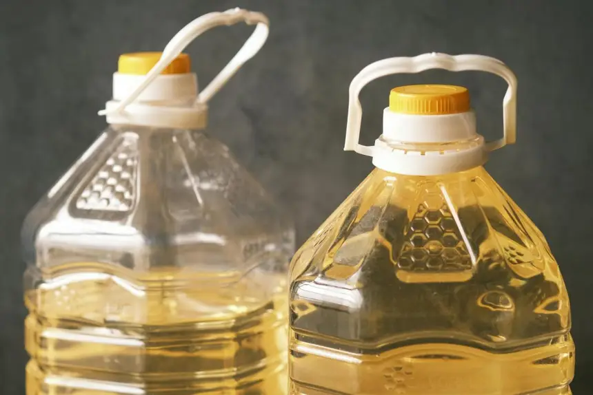 Ущерб на 500 миллионов долларов: РФ отправила в нокаут экспорт масла с Украины