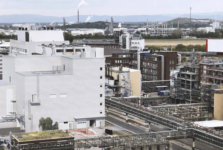 Компенсация за Россию: Берлин раздал миллионы евро рядовых немцев акционерам BASF