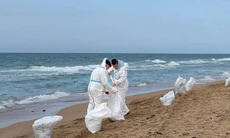 После катастрофы — новый статус: станет ли Анапа витриной восстановления