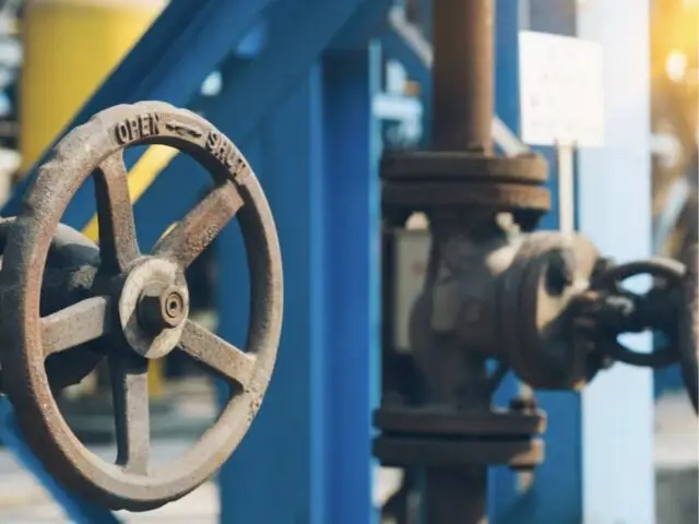 «Скупили весь ямальский СПГ»: Европа подсела на газ через«Турецкий поток»