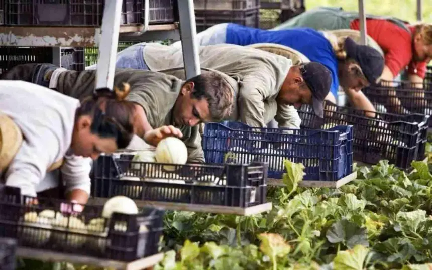 Польша подсчитывает выгоду от войны на Украине