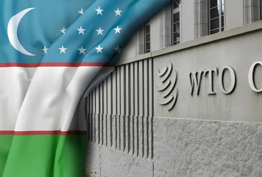 Узбекистан между ВТО и ЕАЭС: чья возьмёт?