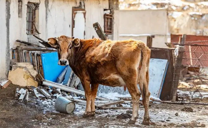В Сибири как шли, так и идут нервные «эпидемиологические мероприятия»