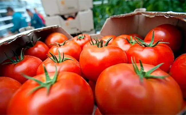 Цены взлетели по самые помидоры