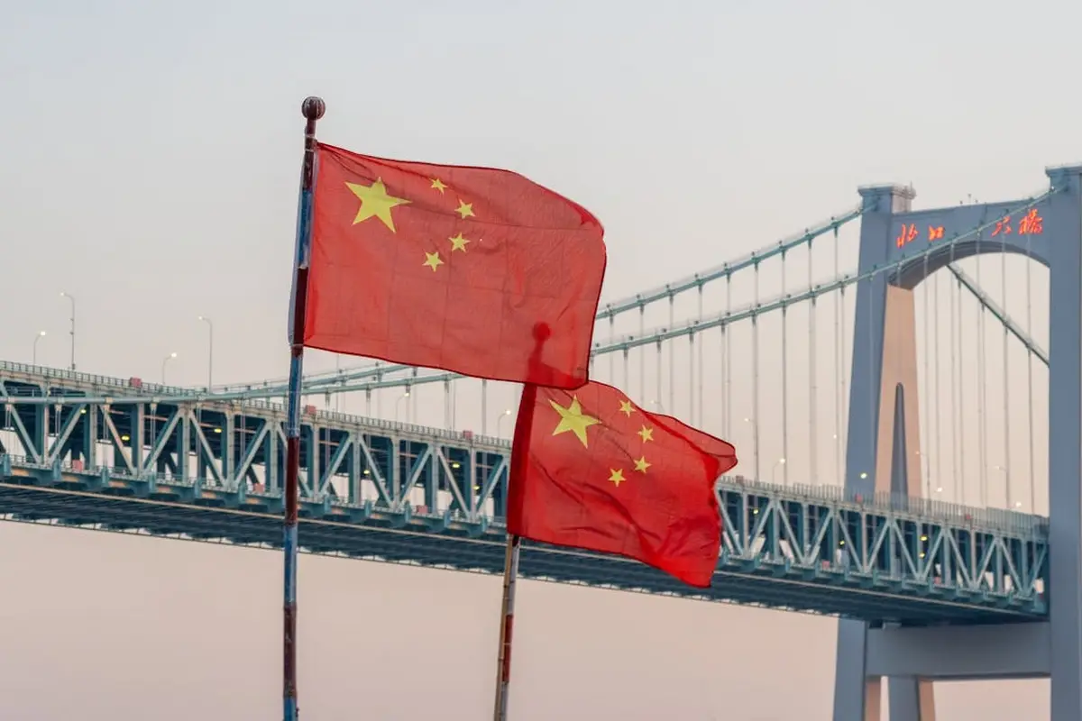 Стратегия прозорливости: соседи позавидовали Китаю и обвинили в шкурничестве