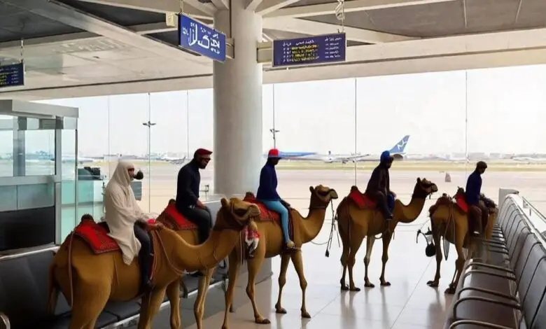 Спецрейс на ишаке: туристам в ОАЭ предложили альтернативу самолётам