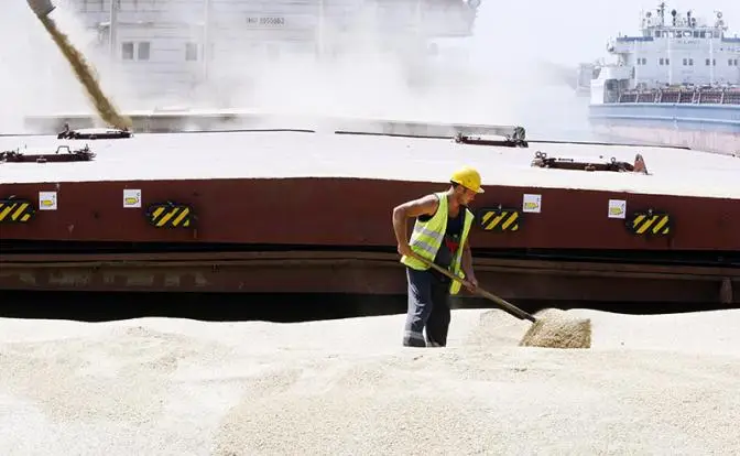 «Ця пшеныця наша!»: Украина обвинила Израиль в скупке «украденного» зерна