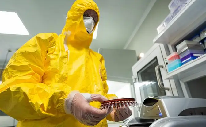 Новосибирская «живодерня» так ничему и не научила?