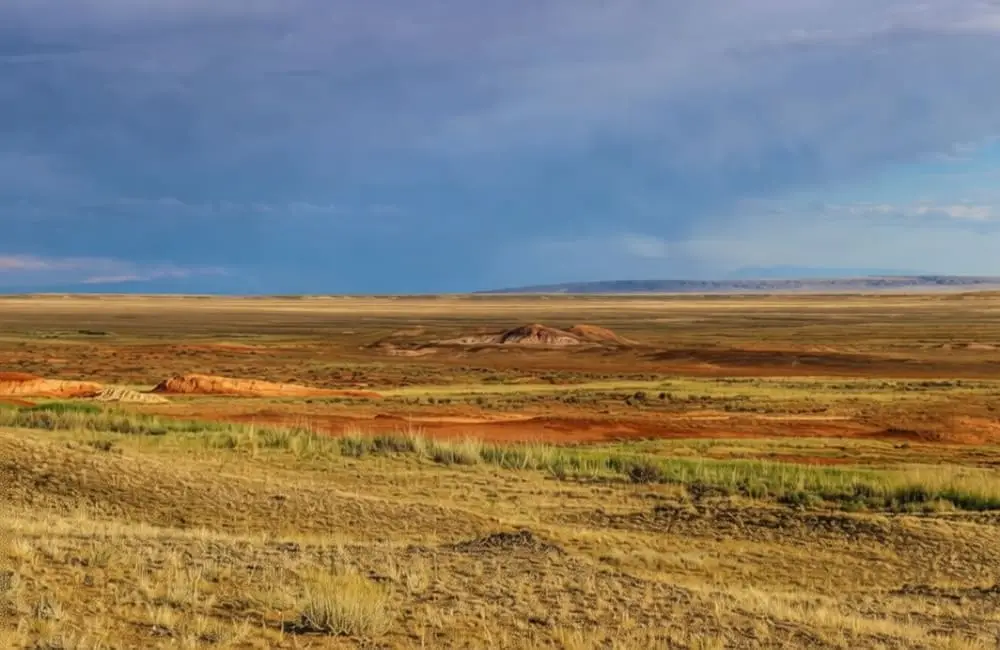 Опустынивание у Каспия нарастает: РФ и РК нужно ускорить сотрудничество