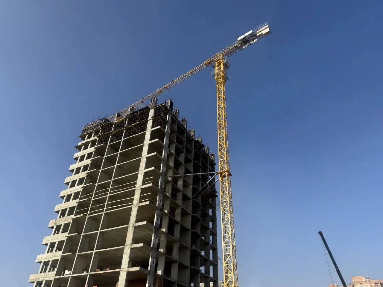 Новая Россия строит жильё, создаёт технопарки, разводит молочных овец