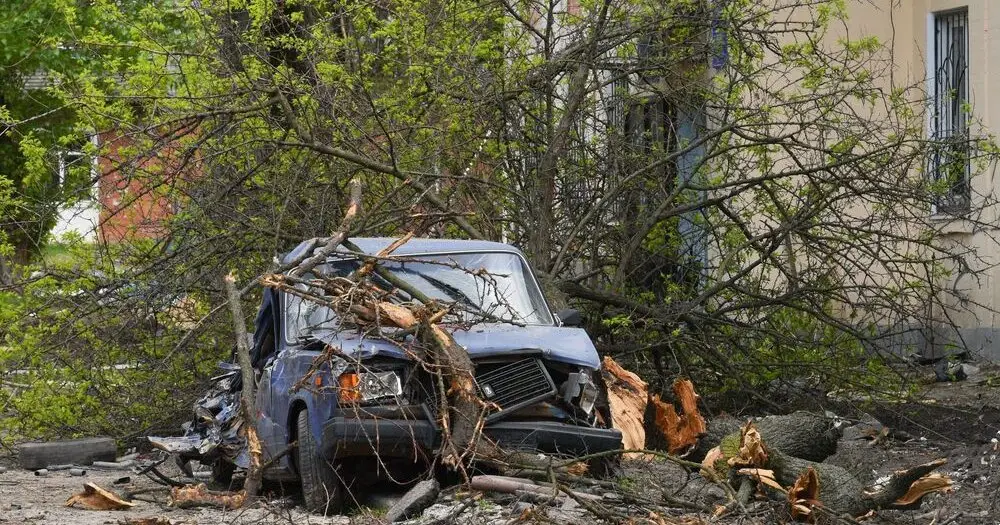 Дерево упало на автомобиль: юрист раскрыл схему взыскания ущерба