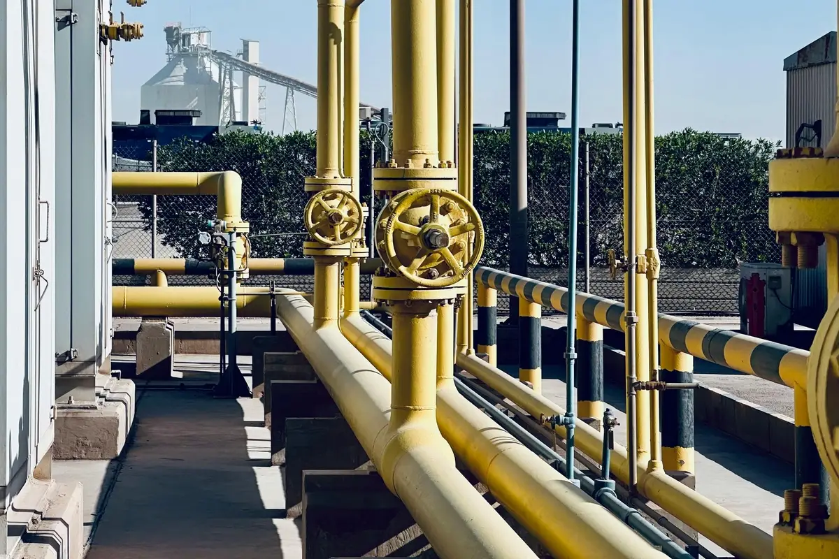 Премия за выгоду: Индия нажала кнопку «перезагрузки» в отношениях с Россией