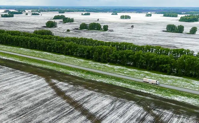Внезапные холода и снег заставили аграриев считать будущие убытки