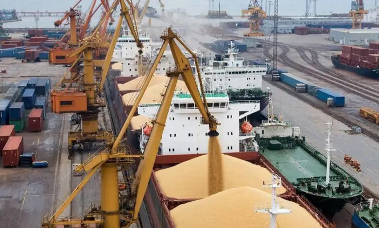 «Абсолютный рекорд»: раскрыли объемы экспорта зерна с Северо-Запада РФ
