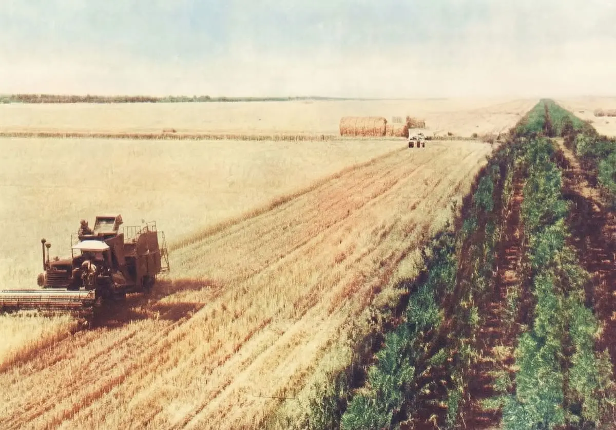 «Сталинский» план спасения природы: отменён, но не забыт