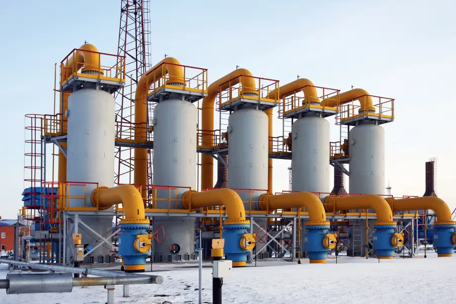 Литва предложила хранить европейские запасы газа на Украине