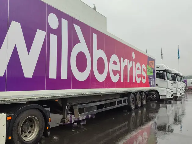 Почему удары по Wildberries – не конец маркетплейса